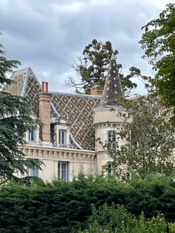 Grand Appartement D'Exception Au Chateau Randin Écully Exterior foto