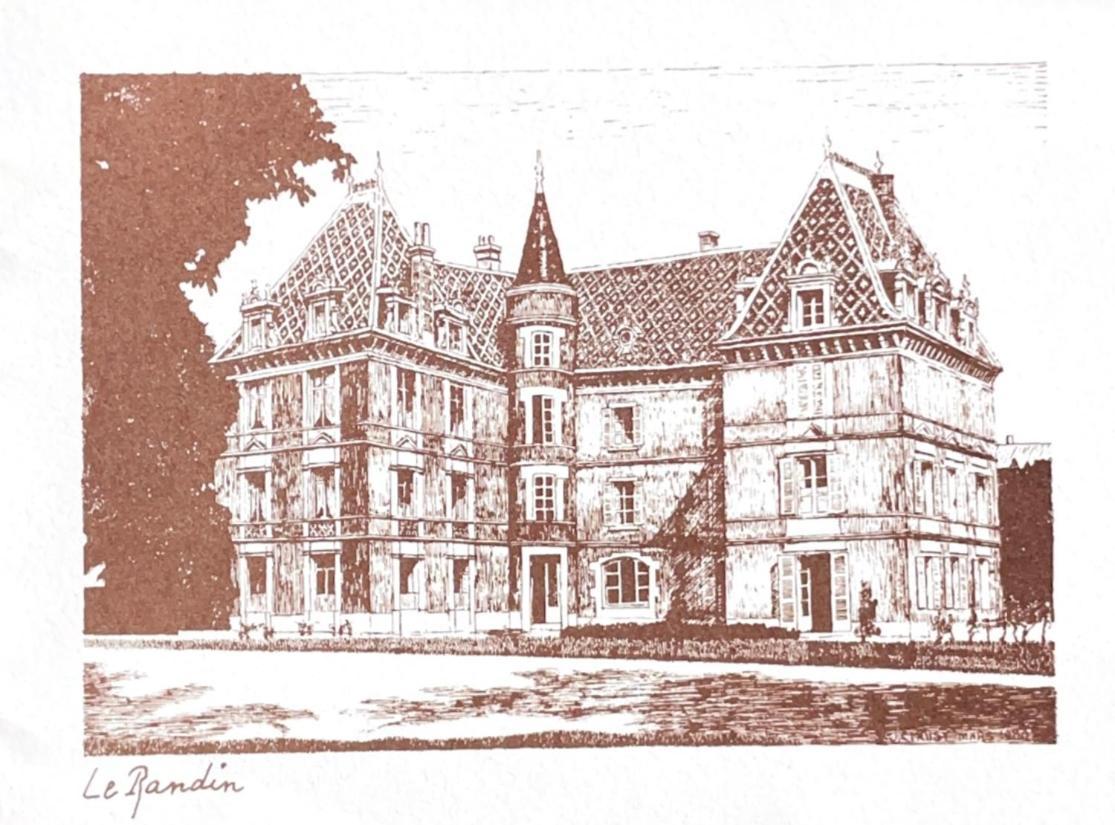 Grand Appartement D'Exception Au Chateau Randin Écully Exterior foto